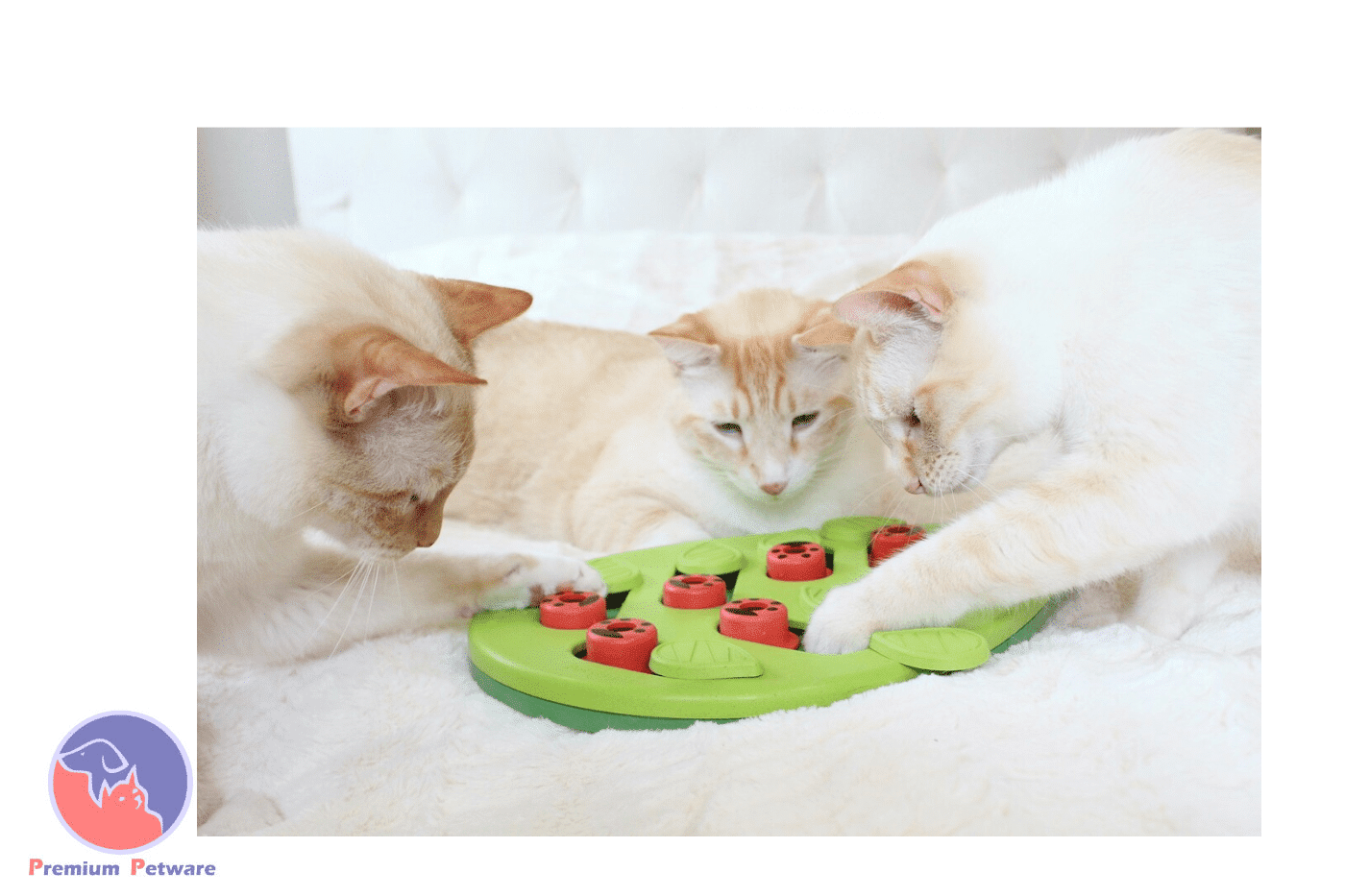 Petstages cat dish store
