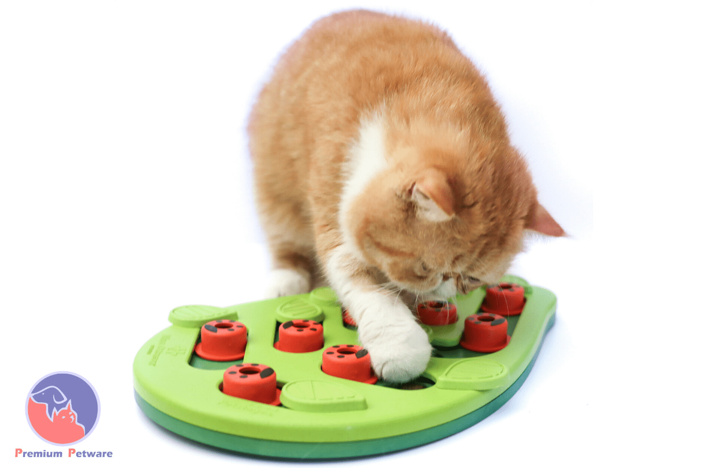 Cat treat puzzle toy discount