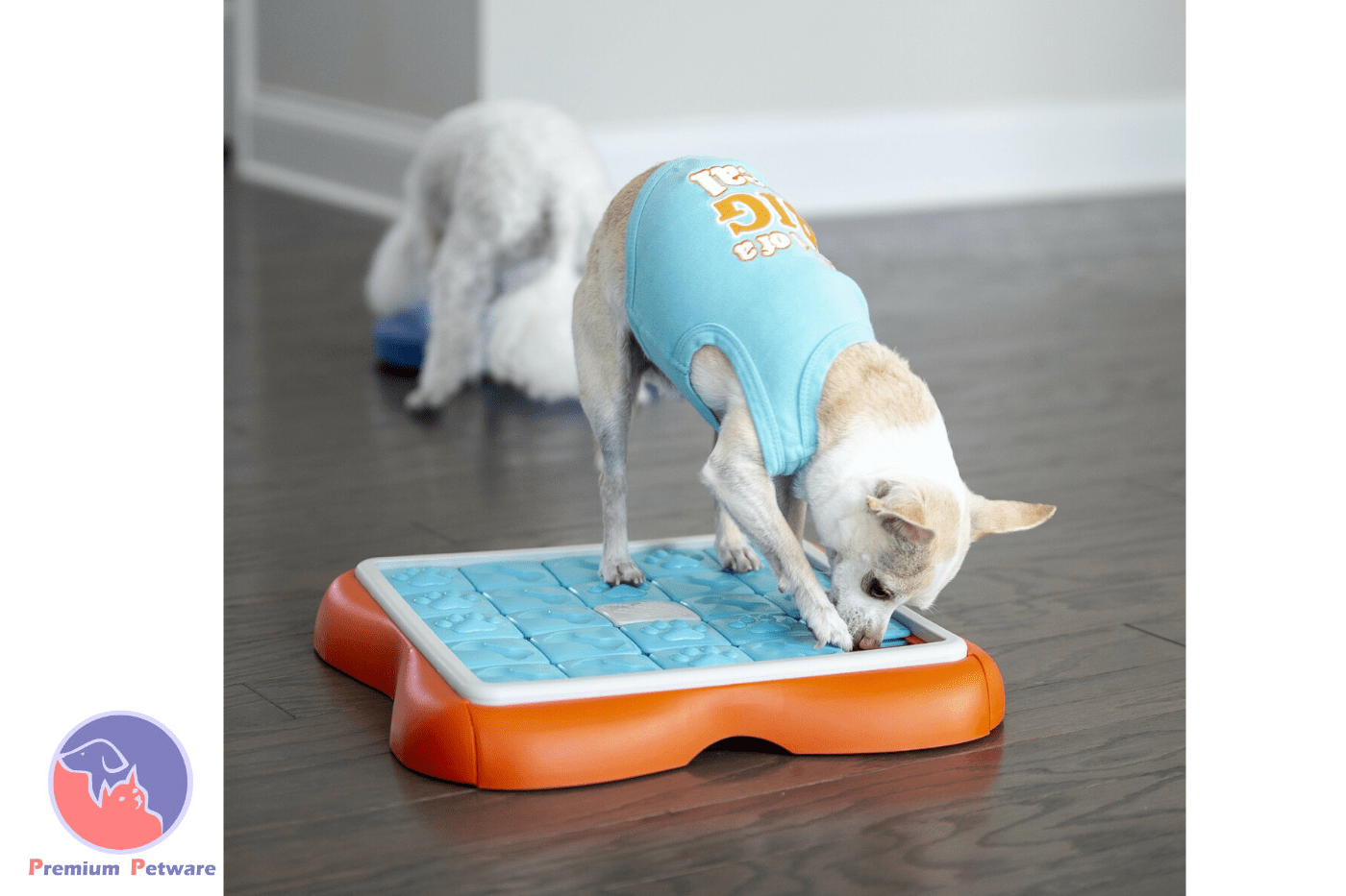 Outward Hound Challenge Slider Treat Puzzle Toy