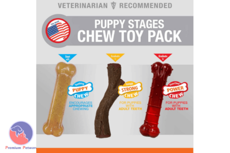 Nylabone puppy triple pack new arrivals